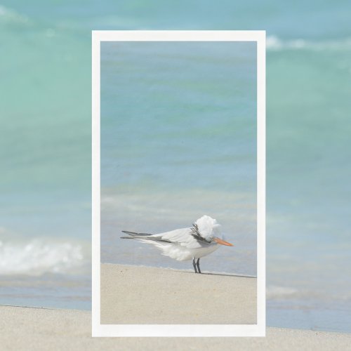 Royal Tern on Beach Seabird Photography Paper Guest Towels