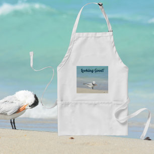 Royal Tern Seabird on Beach Looking Good Adult Apron