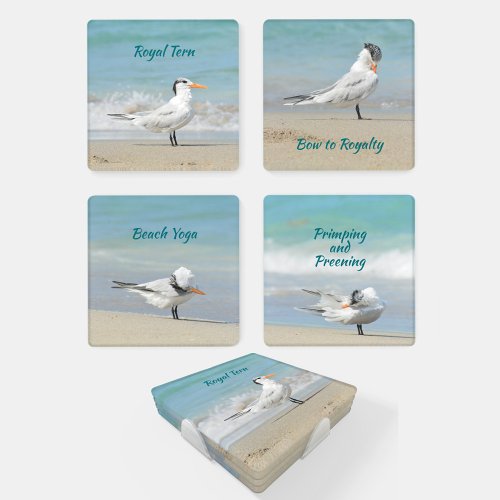 Royal Tern Seabirds Beach Photographic Coaster Set