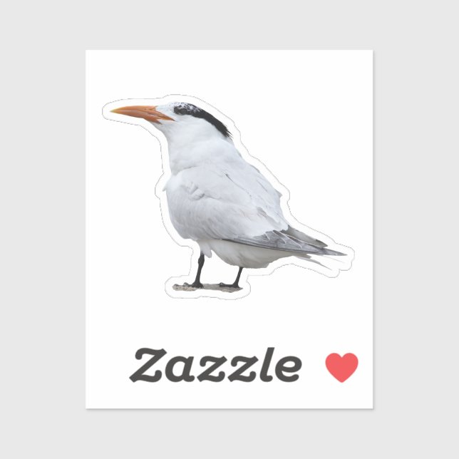 Royal Tern Sticker (Sheet)