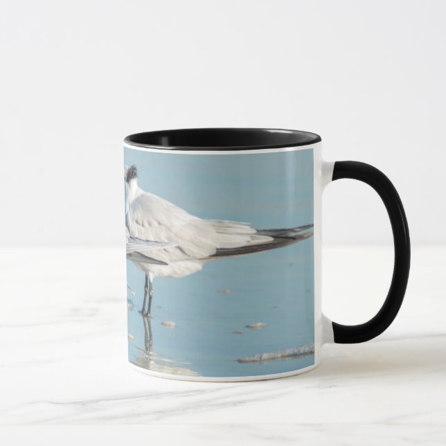 Royal Terns on beach Mug (Right)