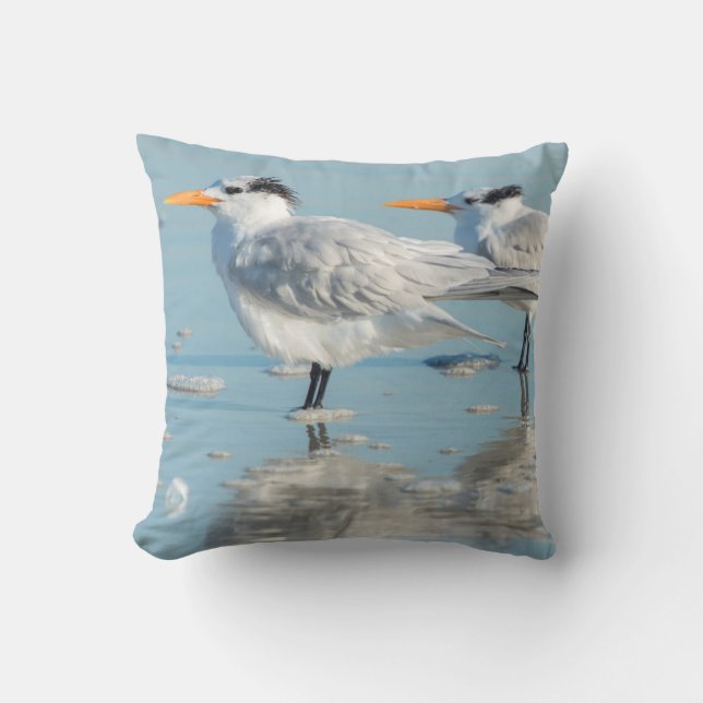 Royal Terns on beach Throw Pillow (Front)