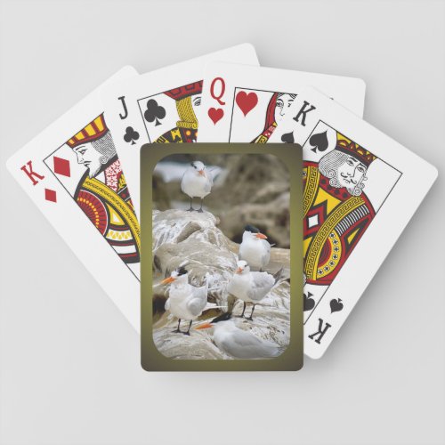 Royal Terns Playing Cards