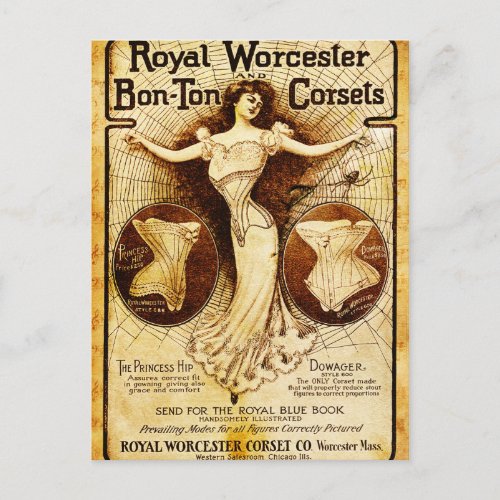 Royal Worcester corsets Postcard