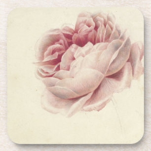 Roze Roos (1792) – Timeless Vintage Botanical Art Beverage Coaster