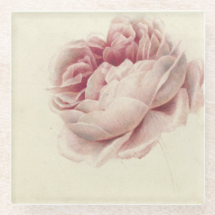 Roze Roos (1792) – Timeless Vintage Botanical Art Glass Coaster