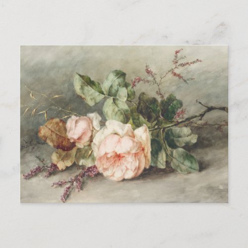 Rozen by Margaretha Roosenboom Postcard