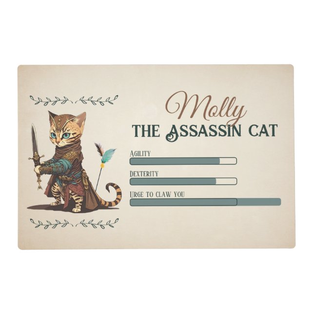 RPG Assassin Cat pet mat for gamer cat lover (Front)