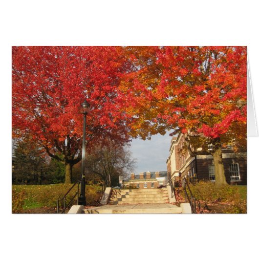 RPI red maples Cards (Front Horizontal)