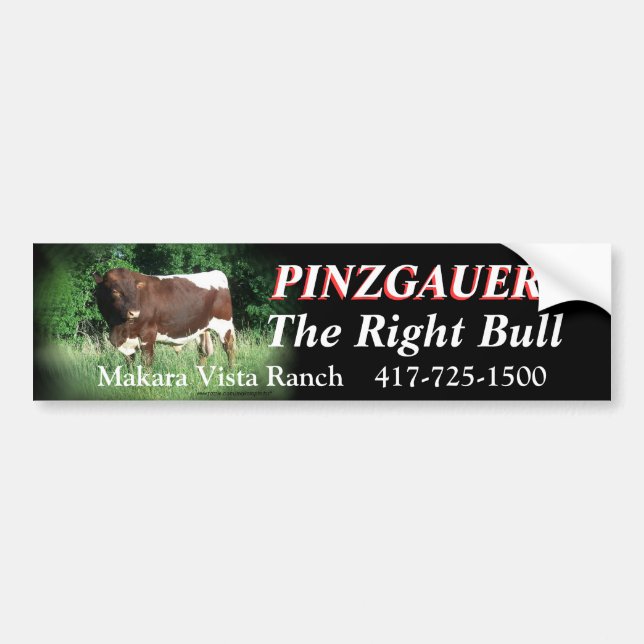 RRF2-rhtbl-Bumpersticker-customize Bumper Sticker (Front)