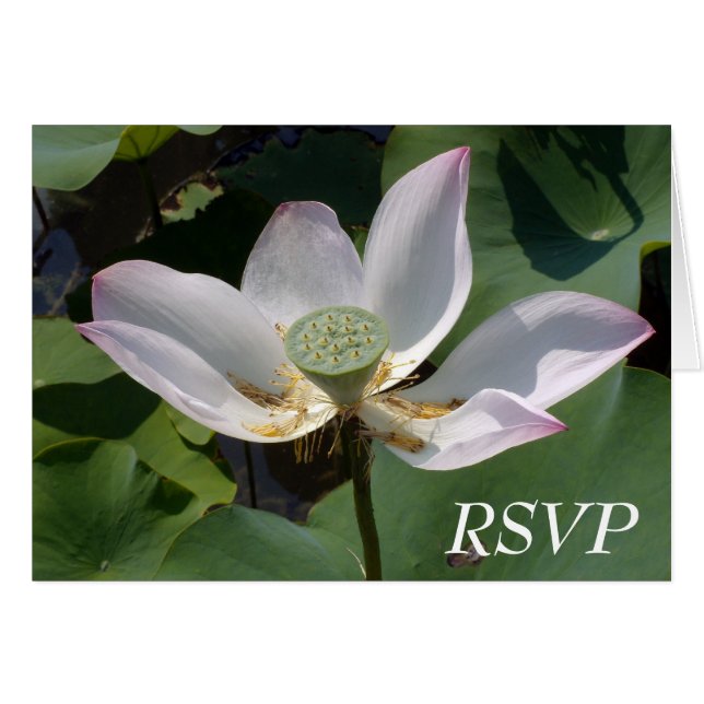 RSVP CARDS (Front Horizontal)