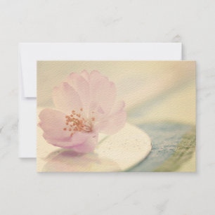 RSVP Delicate Soft Pink Cherry Blossom Flower Card