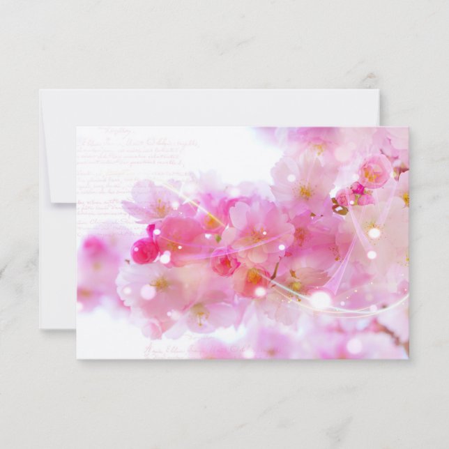 RSVP Elegant Pastel Pink Cherry Blossoms (Front)