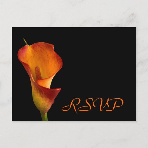 RSVP insert Invitation Postcard