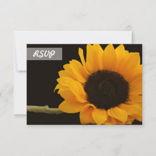 RSVP Sunflower Photo on Black Cards