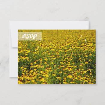 Rsvp Sunflower Photo On Black Cards by RossiCards at Zazzle