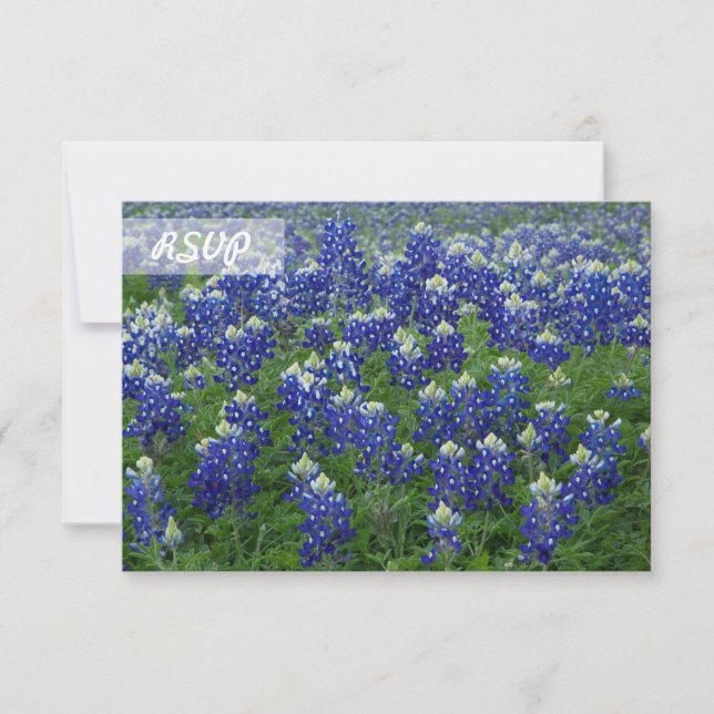 RSVP Texas Bluebonnets Photo on Black Cards (Front)