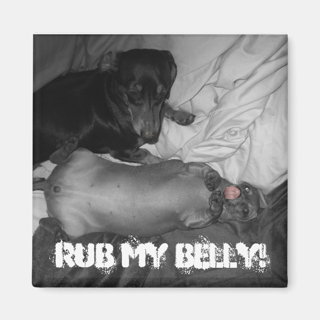 Rub my belly! magnet (Front)