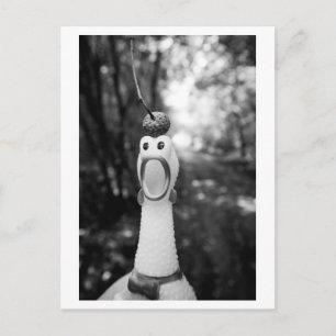 Rubber Chicken with Acorn Hat Postcard