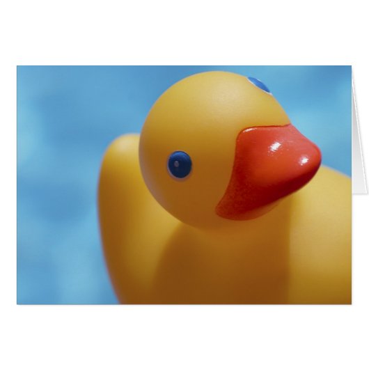 Rubber Duck Close-Up Cards (Front Horizontal)