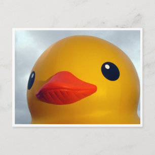 rubber duck head postcard