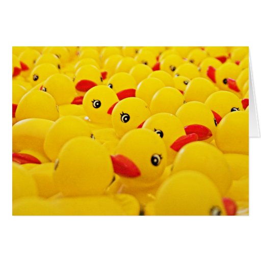 Rubber Duck Photo Blank Card | Zazzle