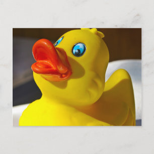 Rubber Duck Postcard