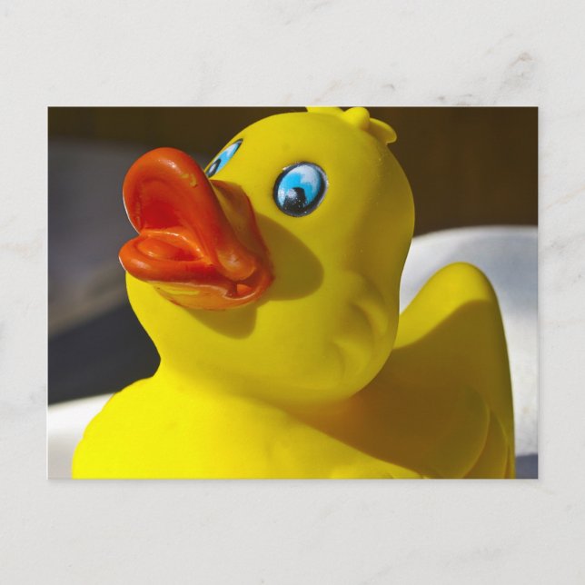 Rubber Duck Postcard (Front)