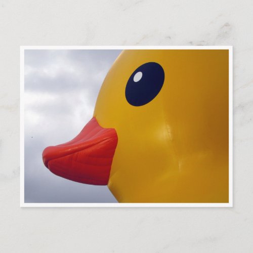 rubber duck profile postcard