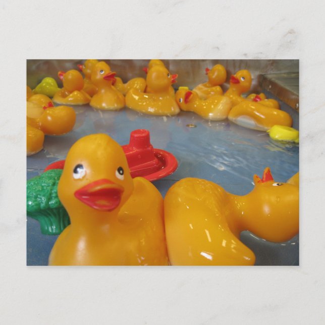 Rubber Duckies Postcard (Front)