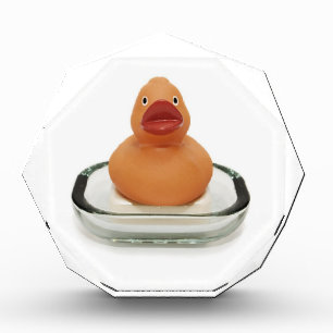 Rubber Ducky Acrylic Award