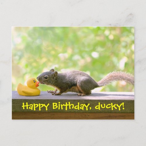 Rubber Ducky and Squirrel Kissing Postcard