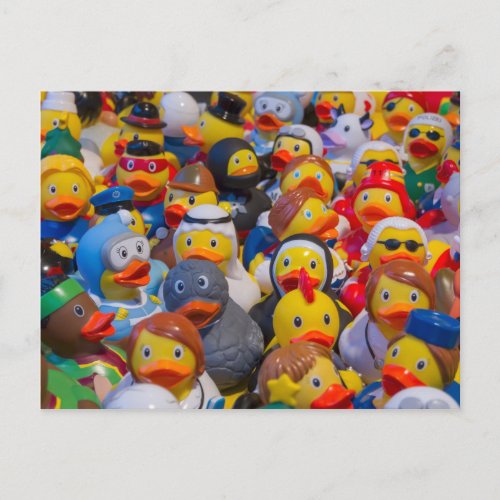 Rubber Ducky Parade Postcard