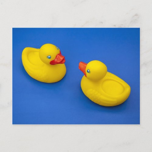 Rubber Ducky Postcard