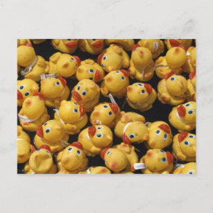 Rubber ducky race - Postcard
