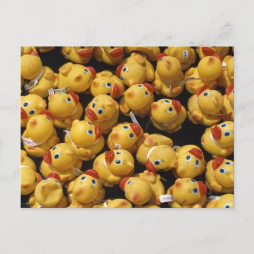 Rubber ducky race _ Postcard