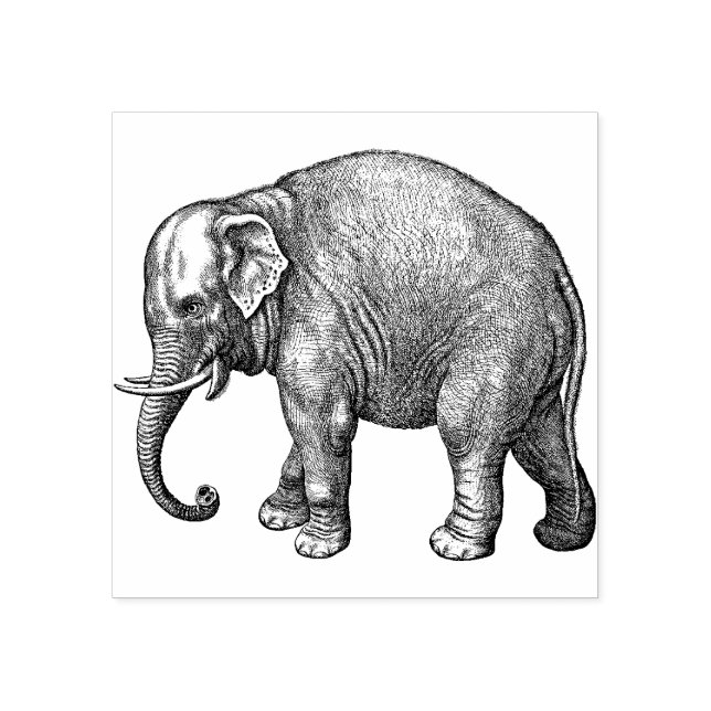 Rubber Stamp Elephant (Imprint)