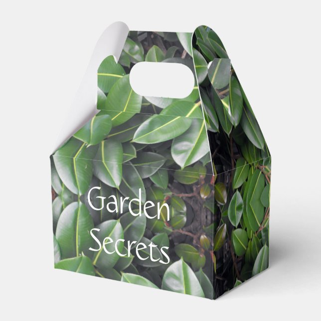 Rubber Tree Leaf Pattern Favor Boxes (Front Side)