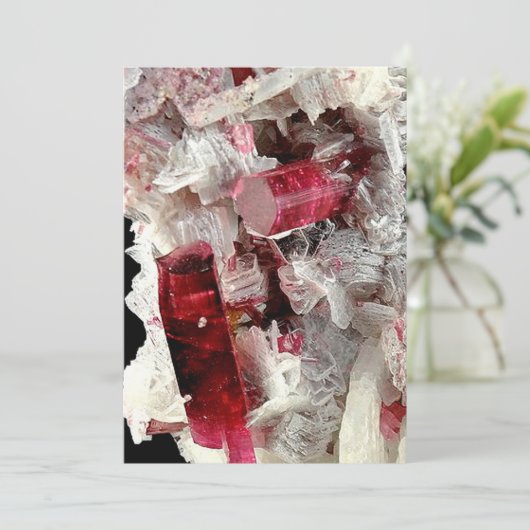 Rubellite (Standing Front)