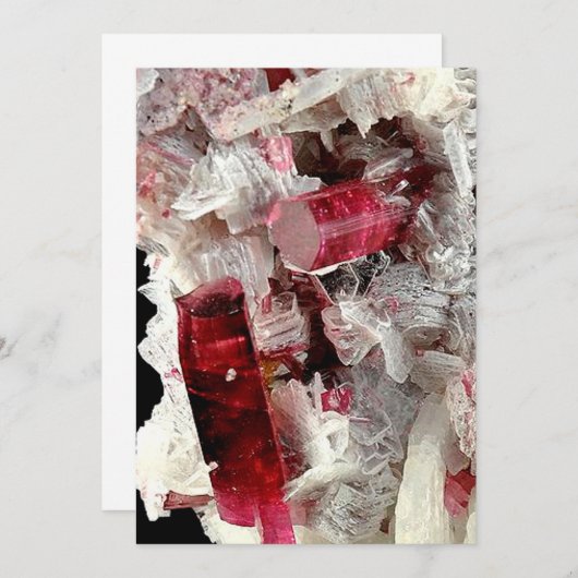 Rubellite (Front/Back)