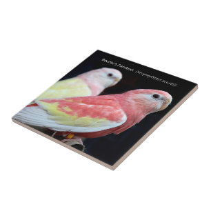 Rubino Bourke's Parakeet Ceramic Tile