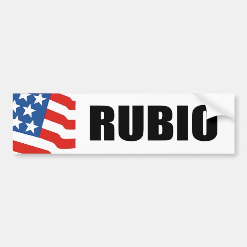 RUBIO 2010 BUMPER STICKER