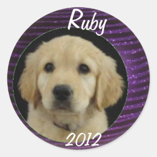 Ruby 2012 Sticker Sheet