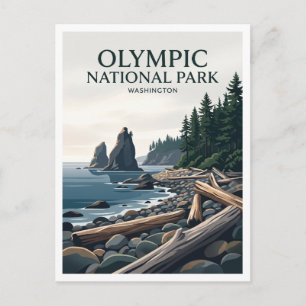 Ruby Beach Forks Washington Postcard