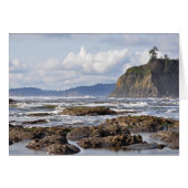 Ruby Beach on the Olympic Peninsula, Washington (Front Horizontal)