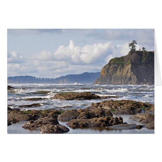 Ruby Beach on the Olympic Peninsula, Washington Cards (Front Horizontal)