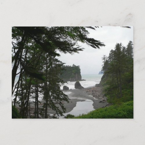 Ruby Beach Postcard