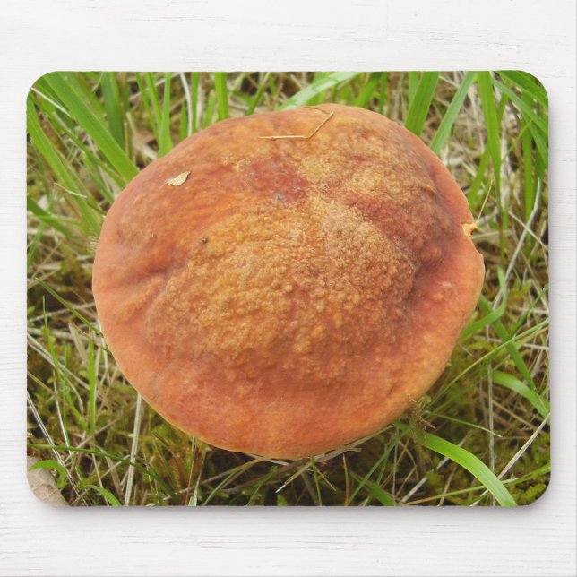 Ruby Bolete Mushroom Mouse Mat (Front)