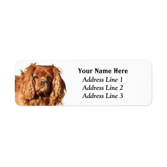 Ruby Cavalier King Charles Return Address Label (Front)