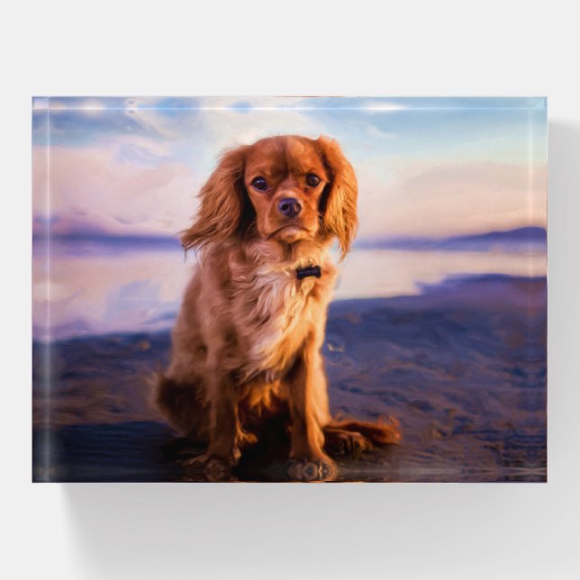 Ruby Cavalier King Charles Spaniel at sunset Paperweight (Front)